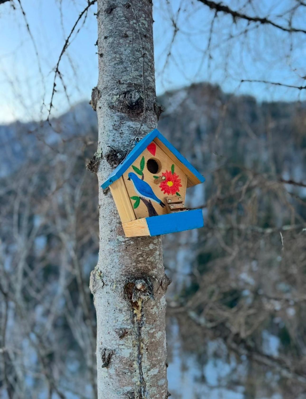 Hotel Sairme Glampings Exterior foto